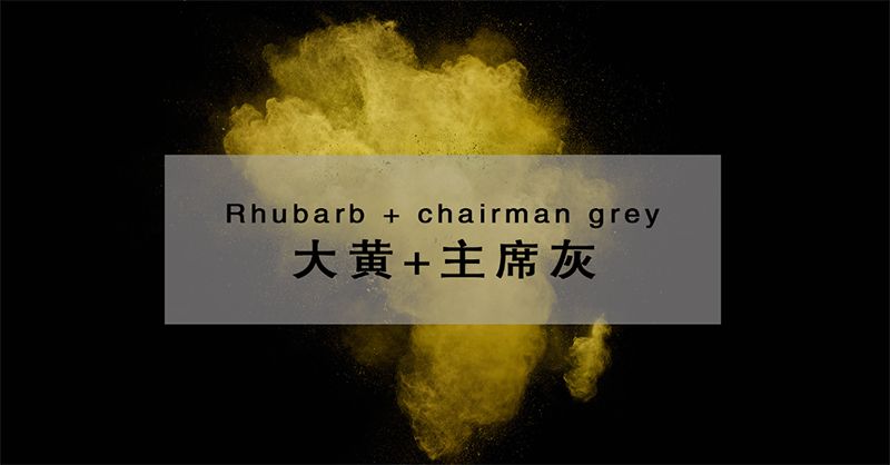 新时尚:高雅的灰与热情的黄丨伟雅色彩展示:大黄+主席灰